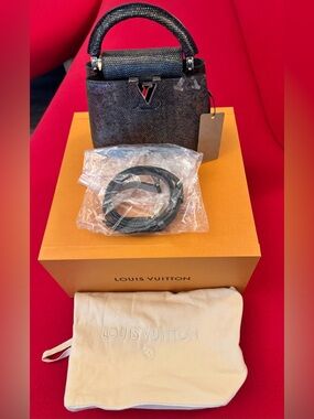 Louis Vuitton Capucines Mini Bag crafted from black leather with Lizard skin.